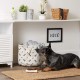 Bone Dry Pet Storage Collection Paw and Bone Print, Medium, Rectangular, 16 x 10 x 12-inch, Grey Bone Dry Pet Storage Collection Paw and Bone Print, Medium, Rectangular, 16 x 10 x 12-inch, Grey