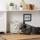 Bone Dry Pet Storage Collection Paw and Bone Print, Medium, Rectangular, 16 x 10 x 12-inch, Grey Bone Dry Pet Storage Collection Paw and Bone Print, Medium, Rectangular, 16 x 10 x 12-inch, Grey