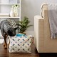 Bone Dry Pet Storage Collection Paw and Bone Print, Medium, Rectangular, 16 x 10 x 12-inch, Grey Bone Dry Pet Storage Collection Paw and Bone Print, Medium, Rectangular, 16 x 10 x 12-inch, Grey