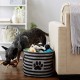 Bone Dry Pet Storage Collection Small Rectangular Stripe Paw Badge Waste Bin - Aquamarine Bone Dry Pet Storage Collection Small Rectangular Stripe Paw Badge Waste Bin - Aquamarine