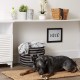 Bone Dry Pet Storage Collection Small Rectangular Stripe Paw Badge Waste Bin - Aquamarine Bone Dry Pet Storage Collection Small Rectangular Stripe Paw Badge Waste Bin - Aquamarine