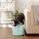 Bone Dry Pet Storage Collection Small Rectangular Stripe Paw Badge Waste Bin - Aquamarine Bone Dry Pet Storage Collection Small Rectangular Stripe Paw Badge Waste Bin - Aquamarine