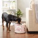 Bone Dry Pet Storage Collection Small Rectangular Stripe Paw Badge Waste Bin - Aquamarine Bone Dry Pet Storage Collection Small Rectangular Stripe Paw Badge Waste Bin - Aquamarine