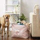 Bone Dry Pet Storage Collection Small Rectangular Stripe Paw Badge Waste Bin - Aquamarine Bone Dry Pet Storage Collection Small Rectangular Stripe Paw Badge Waste Bin - Aquamarine