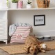 Bone Dry Pet Storage Collection Small Rectangular Stripe Paw Badge Waste Bin - Aquamarine Bone Dry Pet Storage Collection Small Rectangular Stripe Paw Badge Waste Bin - Aquamarine
