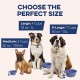 Bonza Large Collapsible Dog Bowl 1000 ml Sturdy Reinforced Rim Includes Carabiner & Water Bottle Holder Keyring Evergreen Bonza Large Collapsible Dog Bowl 1000 ml Sturdy Reinforced Rim Includes Carabiner & Water Bottle Holder Keyring Evergreen