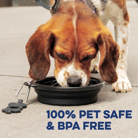 Bonza Large Collapsible Dog Bowl 1000 ml Sturdy Reinforced Rim Includes Carabiner & Water Bottle Holder Keyring Evergreen Bonza Large Collapsible Dog Bowl 1000 ml Sturdy Reinforced Rim Includes Carabiner & Water Bottle Holder Keyring Evergreen