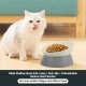 Bulldog Bowl, Non-Slip Dog Cat Bowl, Removable Rubber Dog Bowl, Sterile, Tilted Feeding Bowl, Slanted Bottom (Grey, 3.5 Cups (Medium/Large Dog)) Bulldog Bowl, Non-Slip Dog Cat Bowl, Removable Rubber Dog Bowl, Sterile, Tilted Feeding Bowl, Slanted Bottom (Grey, 3.5 Cups (Medium/Large Dog))
