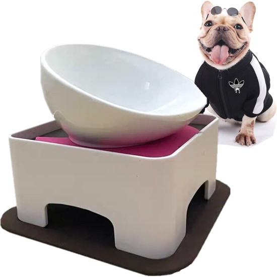Bulldog Pet Bowl Non-Slip Dog Cat Bowl Removable Rubber Feeding Bowl Sterile Inclined with Sloped Base (Black, 2 Cup) Bulldog Pet Bowl Non-Slip Dog Cat Bowl Removable Rubber Feeding Bowl Sterile Inclined with Sloped Base (Black, 2 Cup)