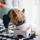 Bulldog Pet Bowl Non-Slip Dog Cat Bowl Removable Rubber Feeding Bowl Sterile Inclined with Sloped Base (Black, 2 Cup) Bulldog Pet Bowl Non-Slip Dog Cat Bowl Removable Rubber Feeding Bowl Sterile Inclined with Sloped Base (Black, 2 Cup)