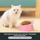 Bulldog Pet Bowl Non-Slip Dog Cat Bowl Removable Rubber Feeding Bowl Sterile Inclined with Sloped Base (Black, 2 Cup) Bulldog Pet Bowl Non-Slip Dog Cat Bowl Removable Rubber Feeding Bowl Sterile Inclined with Sloped Base (Black, 2 Cup)