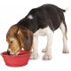 Camon Travelbowl-Ciot.Silicic. 350 ml Camon Travelbowl-Ciot.Silicic. 350 ml