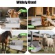 Cattle and Sheep Drinking Carrier 8 Litre Dog Water Outdoor Stainless Steel Water Bowl for Large Dogs, Dog Pool, Automatic Dog Water Dispenser, Large Dog Water Bowl, Stainless Steel Water Bowl (8L) Cattle and Sheep Drinking Carrier 8 Litre Dog Water Outdoor Stainless Steel Water Bowl for Large Dogs, Dog Pool, Automatic Dog Water Dispenser, Large Dog Water Bowl, Stainless Steel Water Bowl (8L)