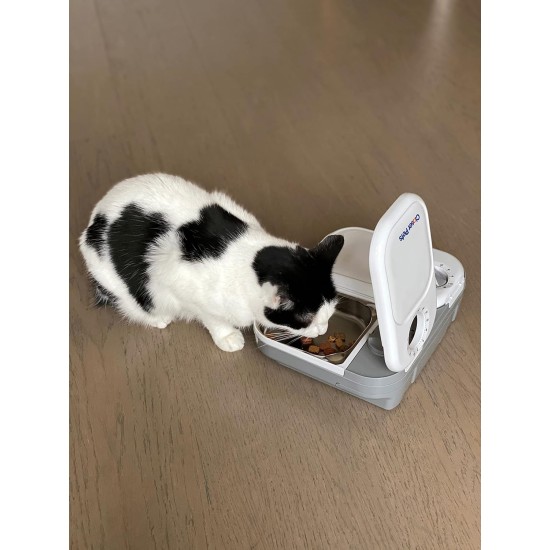 Closer Pets C100 One Meal Automatic Cat and Small Dog Feeder with Stainless Steel Feeding Bowl Insert Closer Pets C100 One Meal Automatic Cat and Small Dog Feeder with Stainless Steel Feeding Bowl Insert