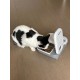Closer Pets C100 One Meal Automatic Cat and Small Dog Feeder with Stainless Steel Feeding Bowl Insert Closer Pets C100 One Meal Automatic Cat and Small Dog Feeder with Stainless Steel Feeding Bowl Insert