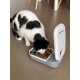 Closer Pets C100 One Meal Automatic Cat and Small Dog Feeder with Stainless Steel Feeding Bowl Insert Closer Pets C100 One Meal Automatic Cat and Small Dog Feeder with Stainless Steel Feeding Bowl Insert