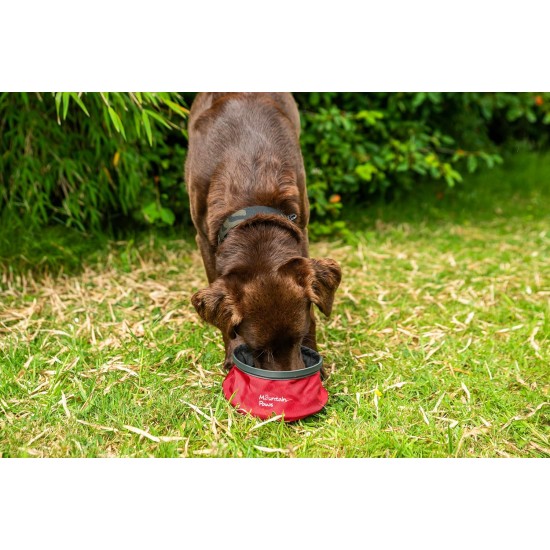 Collapsible Lightweight Dog Water Bowl Collapsible Lightweight Dog Water Bowl