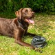 Collapsible Lightweight Dog Water Bowl Collapsible Lightweight Dog Water Bowl