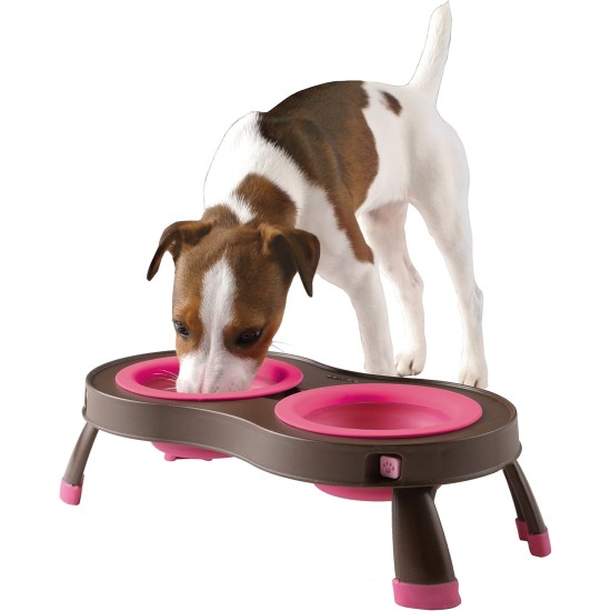 Dexas Popware for Pets Double Elevated Pet Feeder, Large, Gray/Green Dexas Popware for Pets Double Elevated Pet Feeder, Large, Gray/Green