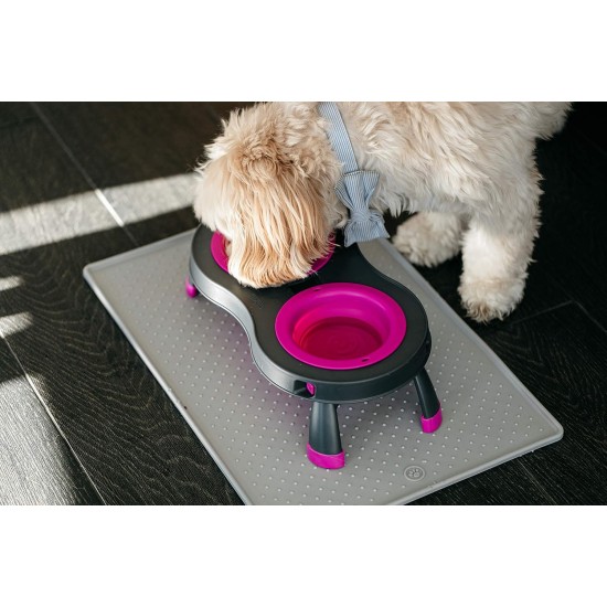 Dexas Popware for Pets Double Elevated Pet Feeder, Large, Gray/Green Dexas Popware for Pets Double Elevated Pet Feeder, Large, Gray/Green
