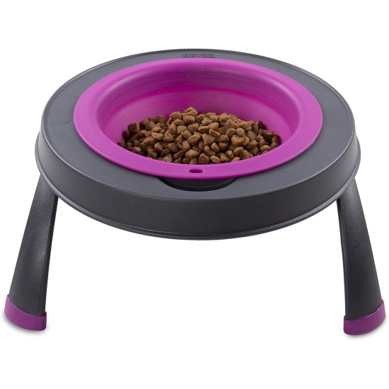 Dexas Popware for Pets Single Elevated Pet Feeder, Large, Gray/Blue Dexas Popware for Pets Single Elevated Pet Feeder, Large, Gray/Blue