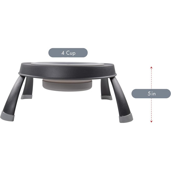 Dexas Popware for Pets Single Elevated Pet Feeder, Large, Gray/Blue Dexas Popware for Pets Single Elevated Pet Feeder, Large, Gray/Blue