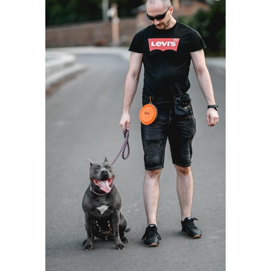 Dingo Vasco 14466 Travel Bowl Silicone with Metal Carabiner, Black Rim Additional Reinforced, Foldable and Lightweight, Capacity 350 ml, Orange Dingo Vasco 14466 Travel Bowl Silicone with Metal Carabiner, Black Rim Additional Reinforced, Foldable and Lightweight, Capacity 350 ml, Orange