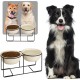 Dog Bowl Set Raised Dog Bowl Ceramic - Large Dog Bowls with Non-Slip Stand - Feeding Bowl Dog Large - Feeding Bowl Water Bowl Set for Medium to Large Dogs - Double Bowl Dog - 2 x 1600 ml Dog Bowl Set Raised Dog Bowl Ceramic - Large Dog Bowls with Non-Slip Stand - Feeding Bowl Dog Large - Feeding Bowl Water Bowl Set for Medium to Large Dogs - Double Bowl Dog - 2 x 1600 ml