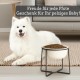 Dog Bowl Set Raised Dog Bowl Ceramic - Large Dog Bowls with Non-Slip Stand - Feeding Bowl Dog Large - Feeding Bowl Water Bowl Set for Medium to Large Dogs - Double Bowl Dog - 2 x 1600 ml Dog Bowl Set Raised Dog Bowl Ceramic - Large Dog Bowls with Non-Slip Stand - Feeding Bowl Dog Large - Feeding Bowl Water Bowl Set for Medium to Large Dogs - Double Bowl Dog - 2 x 1600 ml