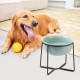 Dog Bowl Set Raised Dog Bowl Ceramic - Large Dog Bowls with Non-Slip Stand - Feeding Bowl Dog Large - Feeding Bowl Water Bowl Set for Medium to Large Dogs - Double Bowl Dog - 2 x 1600 ml Dog Bowl Set Raised Dog Bowl Ceramic - Large Dog Bowls with Non-Slip Stand - Feeding Bowl Dog Large - Feeding Bowl Water Bowl Set for Medium to Large Dogs - Double Bowl Dog - 2 x 1600 ml