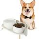 Dog Bowl Set Raised Dog Bowl Set - Double Bowl Dog Ceramic with Splash Guard Stand - Dog Bowls Set of 2 for Food and Water - Feeding Station for Small and Medium Dogs - 2 x 650 ml - Pink