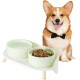 Dog Bowl Set Raised Dog Bowl Set - Double Bowl Dog Ceramic with Splash Guard Stand - Dog Bowls Set of 2 for Food and Water - Feeding Station for Small and Medium Dogs - 2 x 650 ml - Pink
