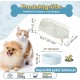 Dog Bowl Set Raised Dog Bowl Set - Double Bowl Dog Ceramic with Splash Guard Stand - Dog Bowls Set of 2 for Food and Water - Feeding Station for Small and Medium Dogs - 2 x 650 ml - Pink