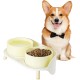 Dog Bowl Set Raised Dog Bowl Set - Double Bowl Dog Ceramic with Splash Guard Stand - Dog Bowls Set of 2 for Food and Water - Feeding Station for Small and Medium Dogs - 2 x 650 ml - Pink