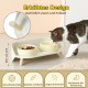Dog Bowl Set Raised Dog Bowl Set - Double Bowl Dog Ceramic with Splash Guard Stand - Dog Bowls Set of 2 for Food and Water - Feeding Station for Small and Medium Dogs - 2 x 650 ml - Pink