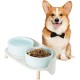 Dog Bowl Set Raised Dog Bowl Set - Double Bowl Dog Ceramic with Splash Guard Stand - Dog Bowls Set of 2 for Food and Water - Feeding Station for Small and Medium Dogs - 2 x 650 ml - Pink