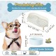 Dog Bowl Set Raised Dog Bowl Set - Double Bowl Dog Ceramic with Splash Guard Stand - Dog Bowls Set of 2 for Food and Water - Feeding Station for Small and Medium Dogs - 2 x 650 ml - Pink