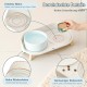 Dog Bowl Set Raised Dog Bowl Set - Double Bowl Dog Ceramic with Splash Guard Stand - Dog Bowls Set of 2 for Food and Water - Feeding Station for Small and Medium Dogs - 2 x 650 ml - Pink