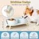 Dog Bowl Set Raised Dog Bowl Set - Double Bowl Dog Ceramic with Splash Guard Stand - Dog Bowls Set of 2 for Food and Water - Feeding Station for Small and Medium Dogs - 2 x 650 ml - Pink