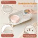 Dog Bowl Set Raised Dog Bowl Set - Double Bowl Dog Ceramic with Splash Guard Stand - Dog Bowls Set of 2 for Food and Water - Feeding Station for Small and Medium Dogs - 2 x 650 ml - Pink