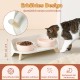 Dog Bowl Set Raised Dog Bowl Set - Double Bowl Dog Ceramic with Splash Guard Stand - Dog Bowls Set of 2 for Food and Water - Feeding Station for Small and Medium Dogs - 2 x 650 ml - Pink