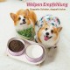 Dog Bowl Set, Raised Dog Bowl Set, Double Ceramic Bowl with Splash Guard Stand, Colourful Spirals Dog Bowls for Food and Water, Ideal for Small to Medium Dogs, 2 x 800 ml, Orange Dog Bowl Set, Raised Dog Bowl Set, Double Ceramic Bowl with Splash Guard Stand, Colourful Spirals Dog Bowls for Food and Water, Ideal for Small to Medium Dogs, 2 x 800 ml, Orange