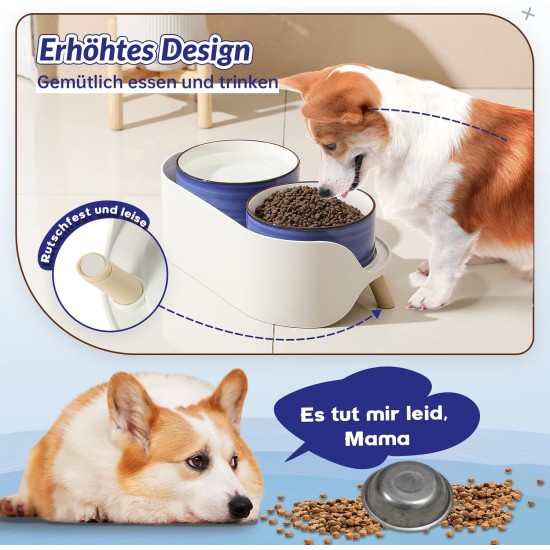 Dog Bowl Set, Raised Dog Bowl Set, Double Ceramic Bowl with Splash Guard Stand, Colourful Spirals Dog Bowls for Food and Water, Ideal for Small to Medium Dogs, 2 x 800 ml, Orange Dog Bowl Set, Raised Dog Bowl Set, Double Ceramic Bowl with Splash Guard Stand, Colourful Spirals Dog Bowls for Food and Water, Ideal for Small to Medium Dogs, 2 x 800 ml, Orange