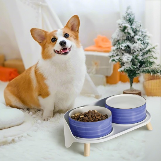Dog Bowl Set, Raised Dog Bowl Set, Double Ceramic Bowl with Splash Guard Stand, Colourful Spirals Dog Bowls for Food and Water, Ideal for Small to Medium Dogs, 2 x 800 ml, Orange Dog Bowl Set, Raised Dog Bowl Set, Double Ceramic Bowl with Splash Guard Stand, Colourful Spirals Dog Bowls for Food and Water, Ideal for Small to Medium Dogs, 2 x 800 ml, Orange