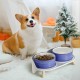 Dog Bowl Set, Raised Dog Bowl Set, Double Ceramic Bowl with Splash Guard Stand, Colourful Spirals Dog Bowls for Food and Water, Ideal for Small to Medium Dogs, 2 x 800 ml, Orange Dog Bowl Set, Raised Dog Bowl Set, Double Ceramic Bowl with Splash Guard Stand, Colourful Spirals Dog Bowls for Food and Water, Ideal for Small to Medium Dogs, 2 x 800 ml, Orange
