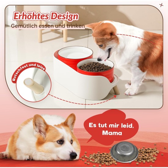 Dog Bowl Set, Raised Dog Bowl Set, Double Ceramic Bowl with Splash Guard Stand, Colourful Spirals Dog Bowls for Food and Water, Ideal for Small to Medium Dogs, 2 x 800 ml, Orange Dog Bowl Set, Raised Dog Bowl Set, Double Ceramic Bowl with Splash Guard Stand, Colourful Spirals Dog Bowls for Food and Water, Ideal for Small to Medium Dogs, 2 x 800 ml, Orange