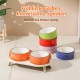 Dog Bowl Set, Raised Dog Bowl Set, Double Ceramic Bowl with Splash Guard Stand, Colourful Spirals Dog Bowls for Food and Water, Ideal for Small to Medium Dogs, 2 x 800 ml, Orange Dog Bowl Set, Raised Dog Bowl Set, Double Ceramic Bowl with Splash Guard Stand, Colourful Spirals Dog Bowls for Food and Water, Ideal for Small to Medium Dogs, 2 x 800 ml, Orange