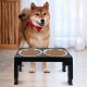 Dog Feeding Bowl Raised Dog Bowls Foldable Dog Bowl Height Adjustable Dog Feeding Station Feeding Bowl for Dogs and Cats Feeding Bowl and Water Bowl for Small Medium Large Dogs Dog Feeding Bowl Raised Dog Bowls Foldable Dog Bowl Height Adjustable Dog Feeding Station Feeding Bowl for Dogs and Cats Feeding Bowl and Water Bowl for Small Medium Large Dogs