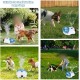 Dog Fountain Outdoor Dog Fountain with Adjustable Pressure Comfortable Dog Drinks with Hose for Dogs Dog Fountain Outdoor Dog Fountain with Adjustable Pressure Comfortable Dog Drinks with Hose for Dogs