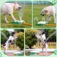 Dog Toy Water Sprinkler, Outdoor Water Toy for Dog, Drinking Fountain with Two Nozzles, Non-Slip Adjustable Water Height, Summer Dog Fountain for Lawn, Garden, Pet, Outdoor Play Dog Toy Water Sprinkler, Outdoor Water Toy for Dog, Drinking Fountain with Two Nozzles, Non-Slip Adjustable Water Height, Summer Dog Fountain for Lawn, Garden, Pet, Outdoor Play
